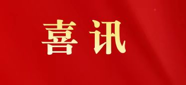 喜讯|白云山Z6尊龙凯时造药荣膺“2025年广东省品牌建设先进单元”称号